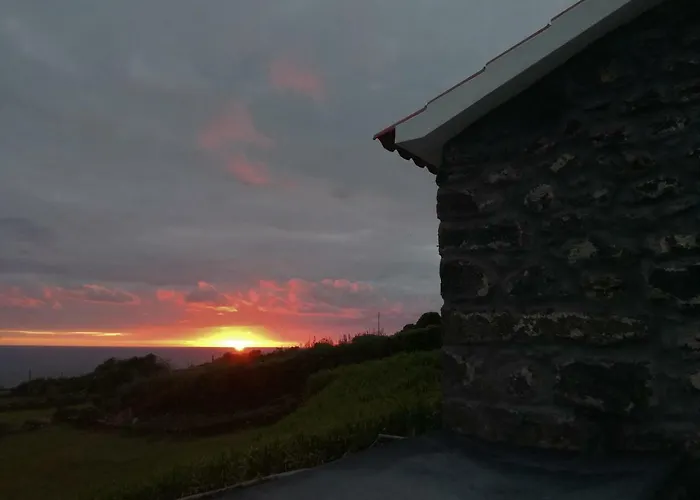 Melo's Place マダレナ